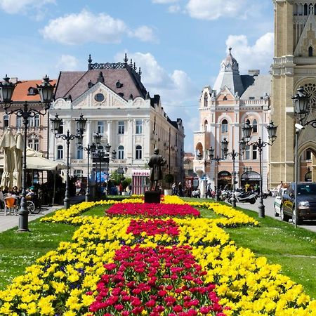 Giallo Apartment - Free Private Parking Novi Sad Dış mekan fotoğraf